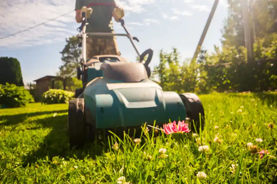 Mowing Services Mowing Services