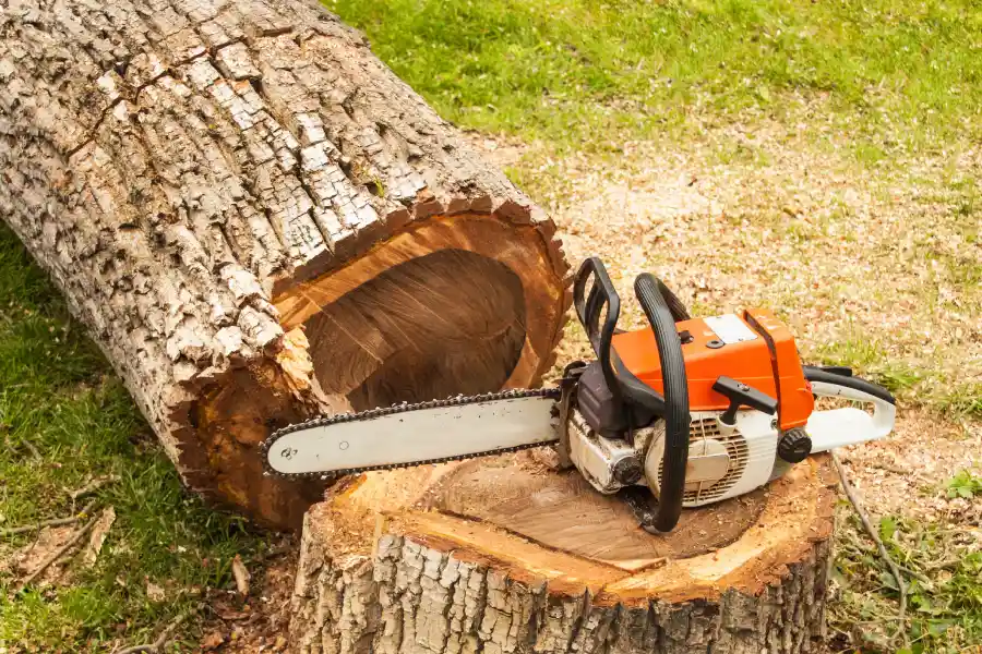 Tree Cutting Service Tree Cutting Service