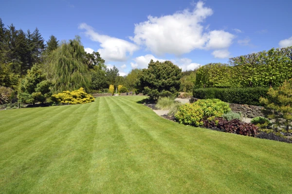 How Professional Mowing Enhances Your Landscape in Ferndale, WA How Professional Mowing Enhances Your Landscape in Ferndale, WA