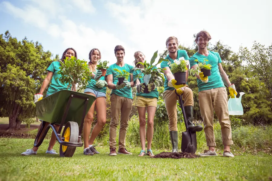 The Best Time of Year for Successful Tree Planting Projects in Ferndale, WA The Best Time of Year for Successful Tree Planting Projects in Ferndale, WA